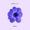 Обкладинка AGAPE - Квітка AGAPE - Квітка