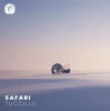 Tuccillo - Safari (Mixed)