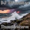 Cover DJ Shved&co - Thunderstorm DJ Shved&co - Thunderstorm