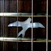 Обкладинка Caged Rhythm - The Return (Original Mix) Caged Rhythm - The Return (Original Mix)