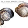 Cover Joe Silva - Everyone Finds a Way 2025 Joe Silva - Everyone Finds a Way 2025