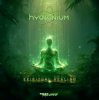Обкладинка Hydronium - Hydronium Ion (Original Mix) Hydronium - Hydronium Ion (Original Mix)