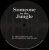 Обкладинка Someone in the Jungle - Gunshot