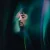 Обкладинка Justin Hawkes - Now or Never
