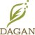 Обкладинка Dagan - Focused