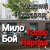 Cover Мило Бой и Голос Народа - Нижний Новгород