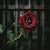 Обкладинка RJ Emerald Fire (Изумрудный огонь) - Prison of Love