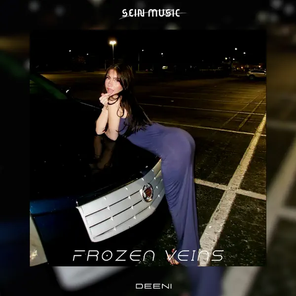  DEENI - Frozen Nights