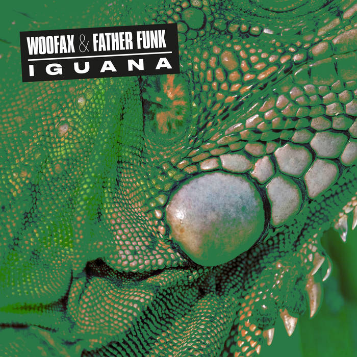  Iguana - Illimani