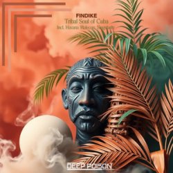 Cover Findike - Tribes (Original Mix)