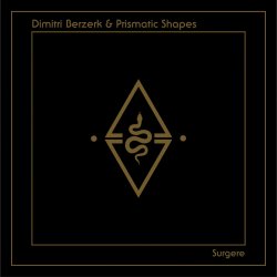 Cover Dimitri Berzerk - Surgere (Mi 3 De 8 Bits Remix)