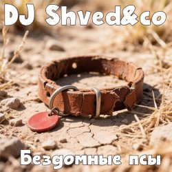 DJ Shved&co - ��������� ���