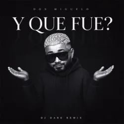Обкладинка Don Miguelo - Y Que Fue? (Dj Dark Remix)