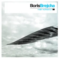 Обкладинка Boris Brejcha - Flying Bird
