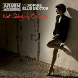 Cover Armin van Buuren feat. Sophie Ellis-Bextor - Not Giving Up On Love