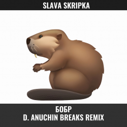 Обкладинка SLAVA SKRIPKA - Бобр (D. Anuchin Breaks Radio Edit)