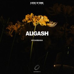 Обкладинка ALIGASH - Moon Bay At Sunset (Extended Mix)