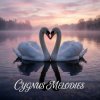 Обкладинка Vasilii CECEGOV & Atom - Cygnus Melodies Vasilii CECEGOV & Atom - Cygnus Melodies