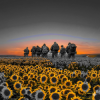 Обкладинка MusicOnlineUA - Heavenly Watch MusicOnlineUA - Heavenly Watch
