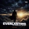 Armin van Buuren, Sacha - Everlasting (DJ Nowitzki Remix)