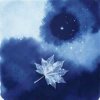 Федяков Валерий - Князь любви