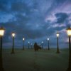Cover Aimer - Wren Aimer - Wren