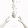 PINEA - �������� �����