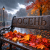 Cover DJ FORTUNA - ОСЕНЬ