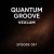 Cover Vexlum - Quantum Groove 037