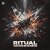 Cover Tiesto & Rita Ora - Ritual (DJ Nowitzki Remix)