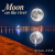 DJ-Lion- Л. Е. В. - Moon on the river DJ-Lion- Л. Е. В. - Moon on the river