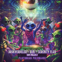Cover Drukverdeler & DJ Bim - The Triangle (Original Mix)
