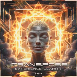 Transpose (CA) - Experience Clarity (Original Mix) Transpose (CA) - Experience Clarity (Original Mix)