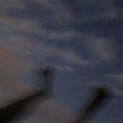 LYRIQ - �������