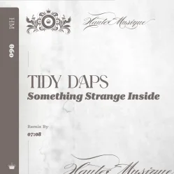 Something Strange Inside (Original Mix)