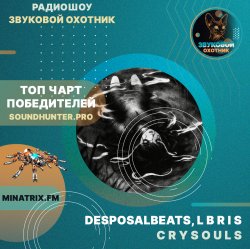 DesposalBeats, L B R I S - crysouls