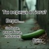 Вия (Viya) - Кабачок