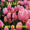 BRONIS AI - � �ͨ� �������� ����