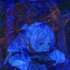 Lxst Wxrld - Fate by Design
