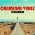 Criminal Vibes vs. DJ DNK - Calabria (DJ KIRILLICH Mashup)