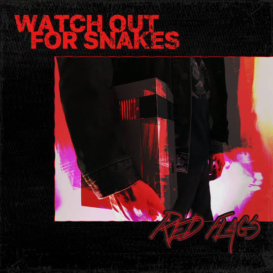  Watch Out For Snakes - Red Flags