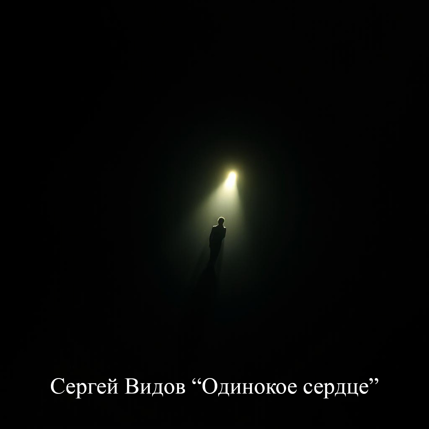  Сергей Видов - Одинокое сердце