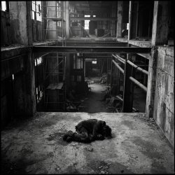 SerDi - Concrete Lungs SerDi - Concrete Lungs