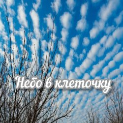 Яна RU - Небо в клеточку Яна RU - Небо в клеточку