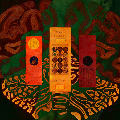 Обкладинка