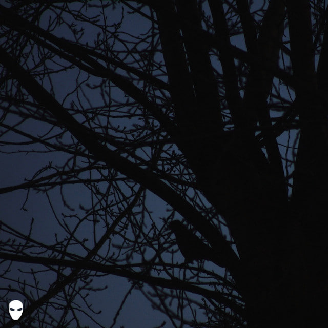 Обкладинка