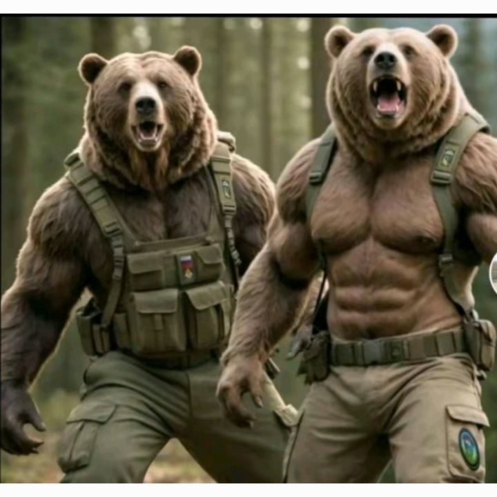 Обкладинка