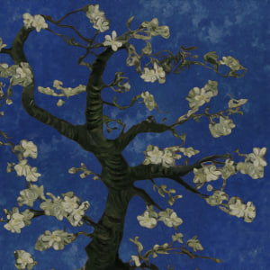 Обкладинка