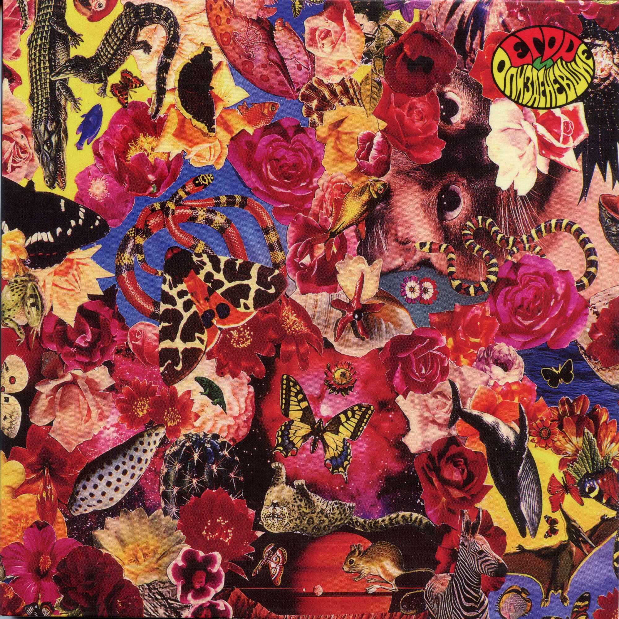 Обкладинка