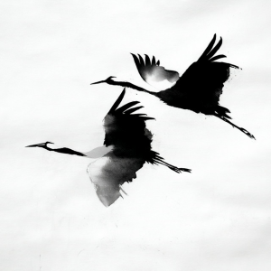 Обкладинка